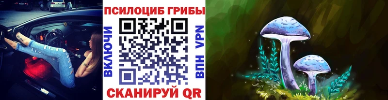 Галлюциногенные грибы прущие грибы  Кировск 