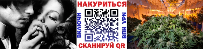 цена наркотик  Кировск  Канабис THC 21% 